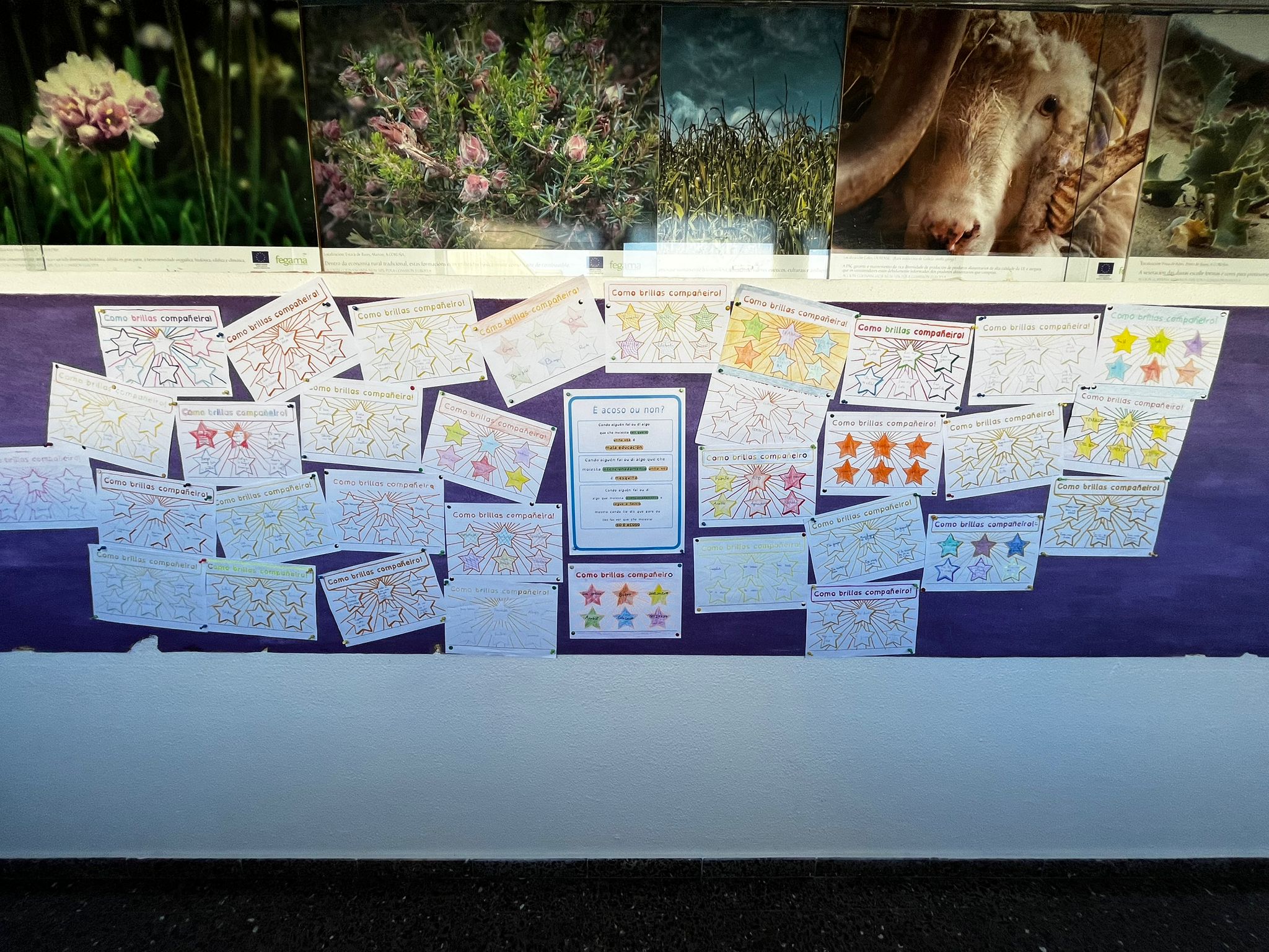 Día Acoso escolar_6.jpeg